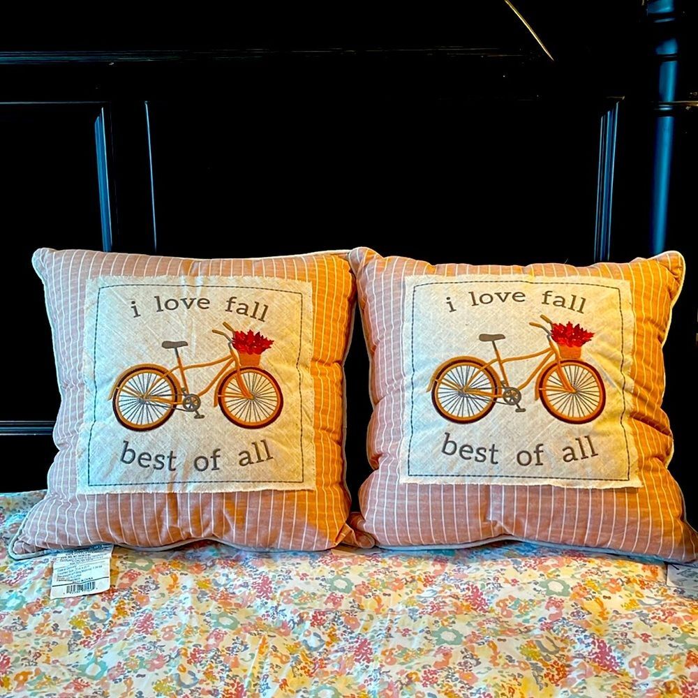 2 pack EAI home high quality decorative pillows 20 In x 20 in